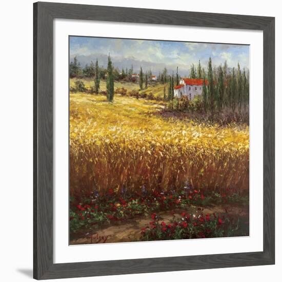 Tuscan Wheat-Hulsey-Framed Art Print