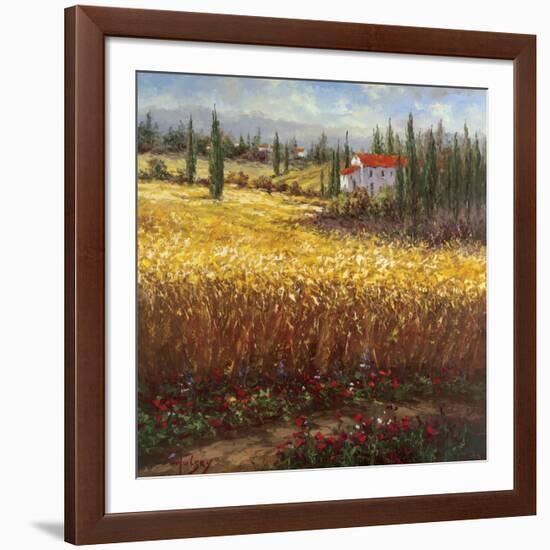 Tuscan Wheat-Hulsey-Framed Art Print