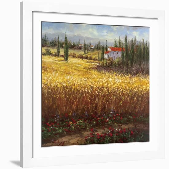 Tuscan Wheat-Hulsey-Framed Art Print