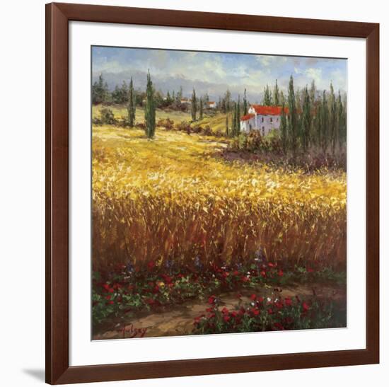 Tuscan Wheat-Hulsey-Framed Art Print