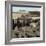 Tuscany #15-Alan Blaustein-Framed Photographic Print