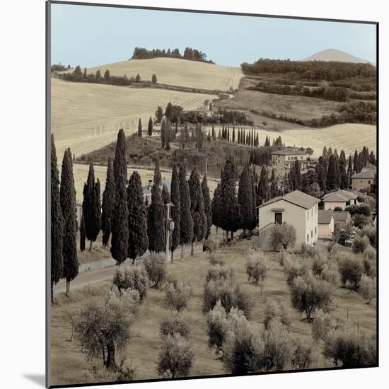 Tuscany #15-Alan Blaustein-Mounted Photographic Print