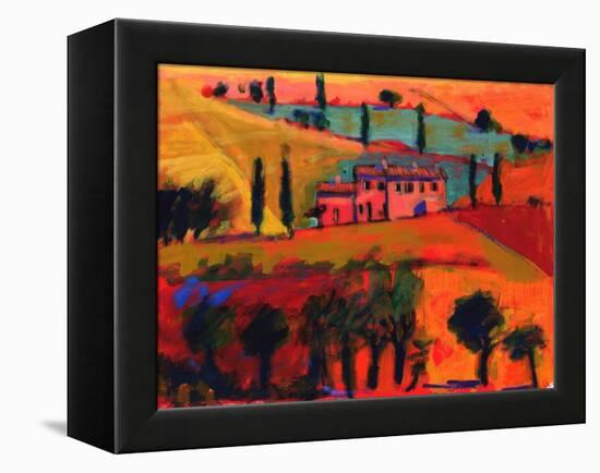 Tuscany, 2008-Paul Powis-Framed Premier Image Canvas