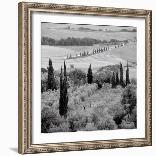 Tuscany #6-Alan Blaustein-Framed Photographic Print