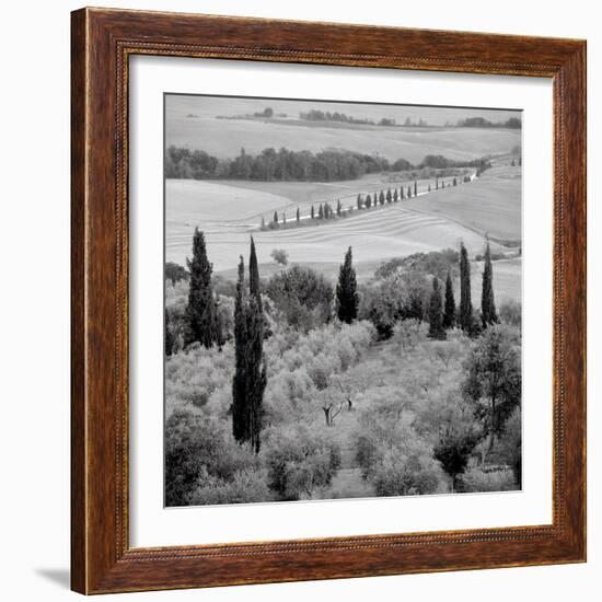 Tuscany #6-Alan Blaustein-Framed Photographic Print