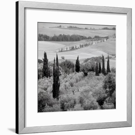 Tuscany #6-Alan Blaustein-Framed Photographic Print