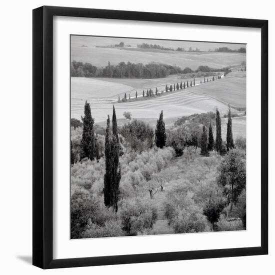 Tuscany #6-Alan Blaustein-Framed Photographic Print