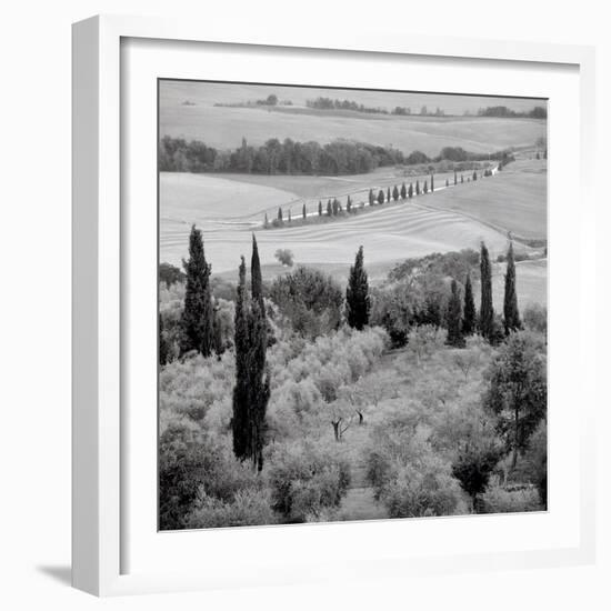 Tuscany #6-Alan Blaustein-Framed Photographic Print