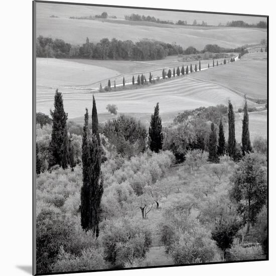 Tuscany #6-Alan Blaustein-Mounted Photographic Print