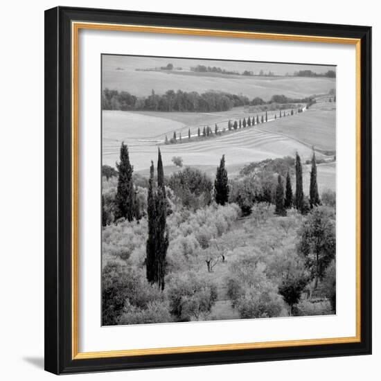 Tuscany #6-Alan Blaustein-Framed Photographic Print