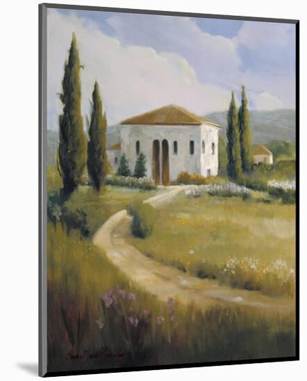 Tuscany Afternoon-Carolyne Hawley-Mounted Art Print