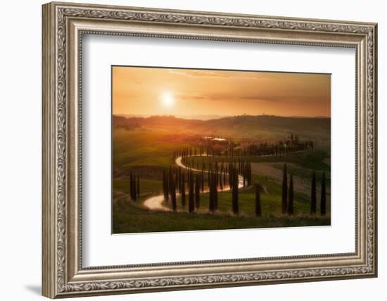 Tuscany Evening-Rostovskiy Anton-Framed Photographic Print