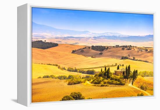 Tuscany, Farmland and Cypress Trees, Green Fields. San Quirico Orcia, Italy.-stevanzz-Framed Premier Image Canvas