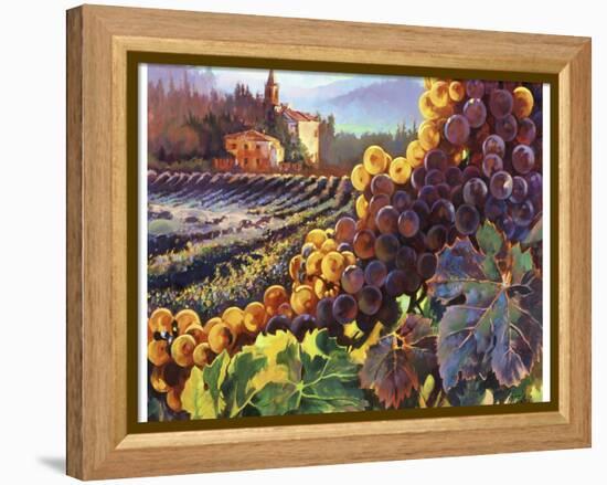 Tuscany Harvest-Clif Hadfield-Framed Stretched Canvas