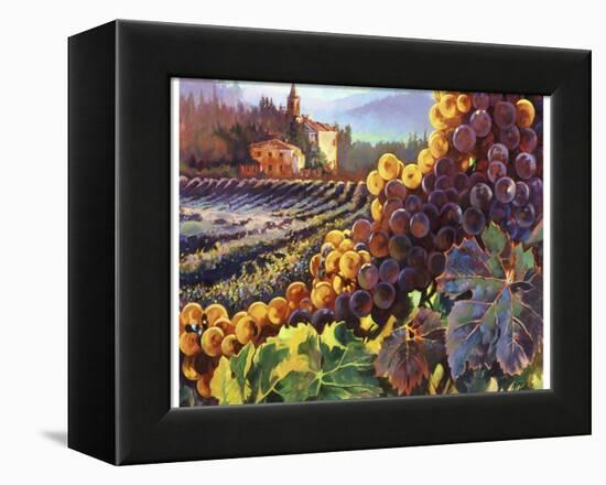 Tuscany Harvest-Clif Hadfield-Framed Stretched Canvas