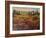 Tuscany I-Tim O'toole-Framed Art Print