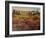 Tuscany I-Tim O'toole-Framed Art Print