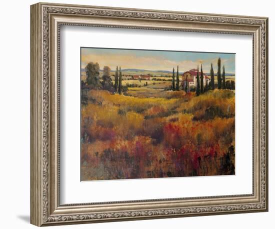 Tuscany I-Tim O'toole-Framed Art Print