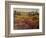 Tuscany I-Tim O'toole-Framed Art Print