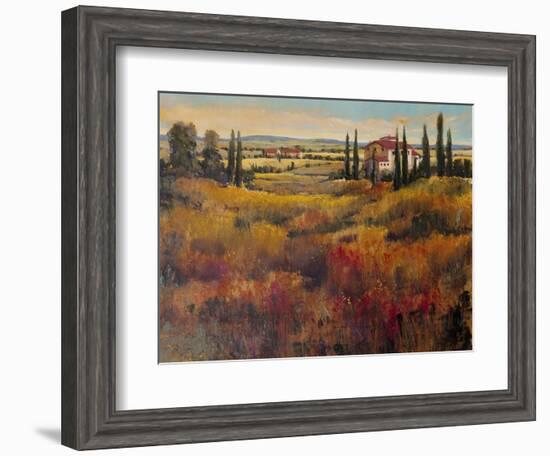 Tuscany I-Tim O'toole-Framed Art Print