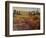 Tuscany I-Tim O'toole-Framed Art Print