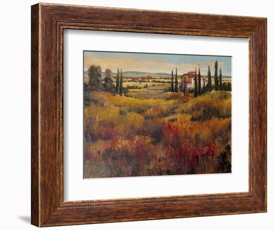 Tuscany I-Tim O'toole-Framed Art Print