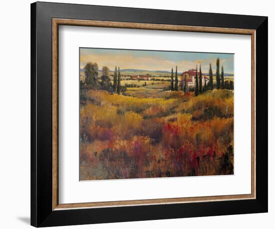 Tuscany I-Tim O'toole-Framed Art Print