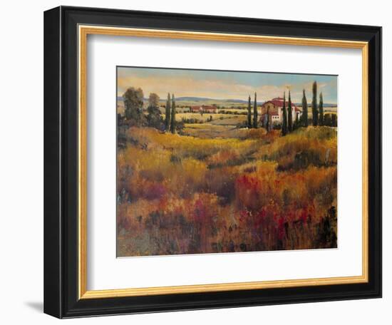 Tuscany I-Tim O'toole-Framed Art Print