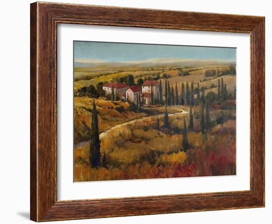Tuscany II-Tim O'toole-Framed Art Print
