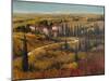 Tuscany II-Tim O'toole-Mounted Art Print