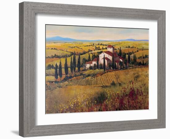 Tuscany III-Tim O'toole-Framed Art Print