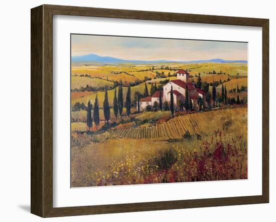 Tuscany III-Tim O'toole-Framed Art Print