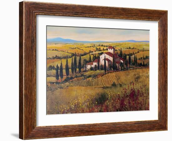 Tuscany III-Tim O'toole-Framed Art Print