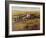 Tuscany III-Tim O'toole-Framed Art Print