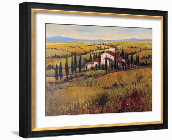 Tuscany III-Tim O'toole-Framed Art Print