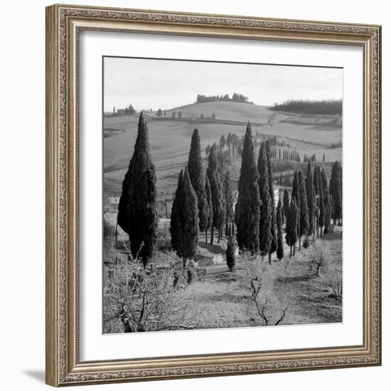 Tuscany IV-Alan Blaustein-Framed Photographic Print