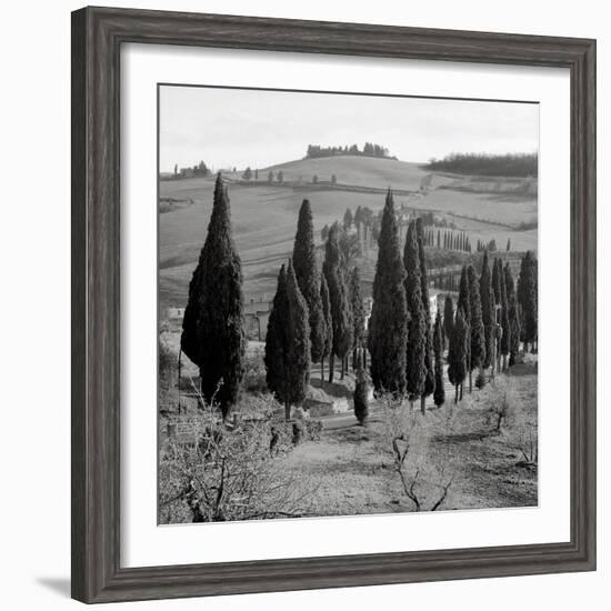 Tuscany IV-Alan Blaustein-Framed Photographic Print