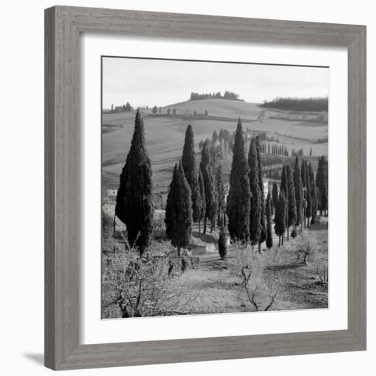 Tuscany IV-Alan Blaustein-Framed Photographic Print