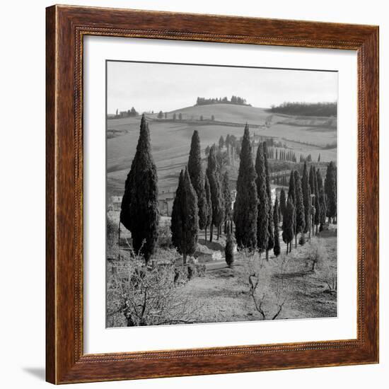 Tuscany IV-Alan Blaustein-Framed Photographic Print