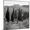 Tuscany IV-Alan Blaustein-Mounted Photographic Print