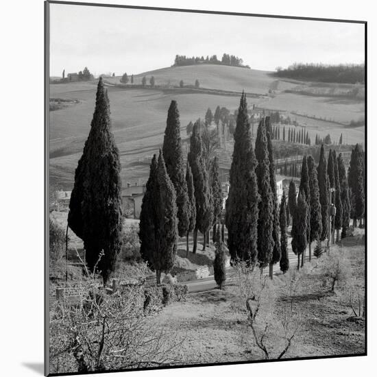 Tuscany IV-Alan Blaustein-Mounted Photographic Print