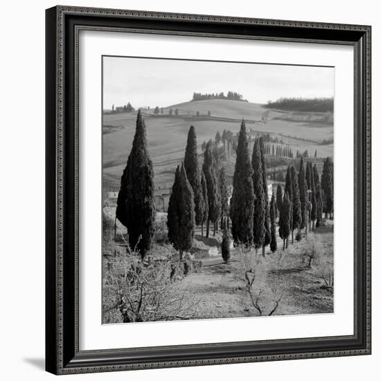 Tuscany IV-Alan Blaustein-Framed Photographic Print
