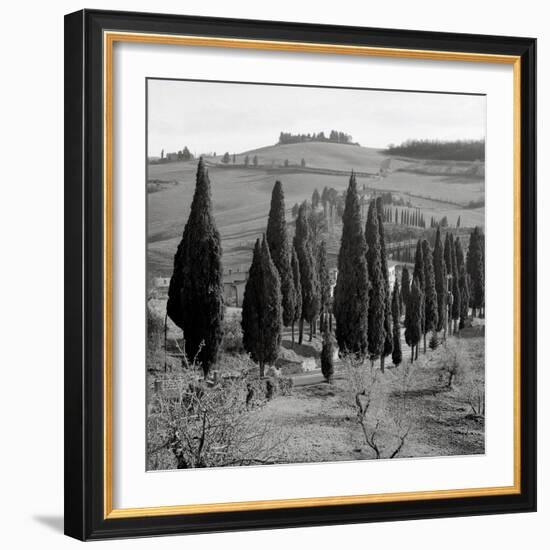 Tuscany IV-Alan Blaustein-Framed Photographic Print