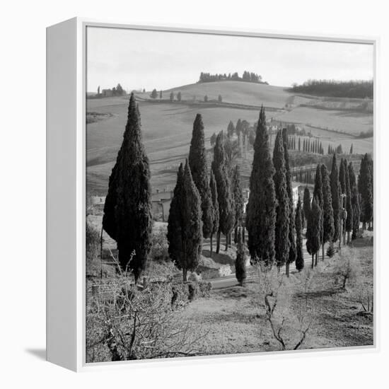 Tuscany IV-Alan Blaustein-Framed Stretched Canvas