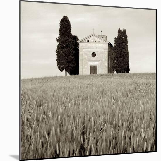 Tuscany IX-Alan Blaustein-Mounted Photographic Print