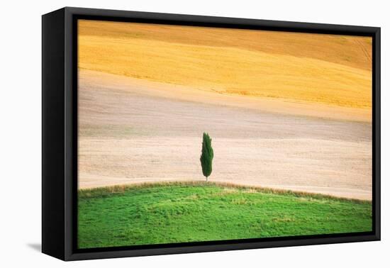 Tuscany Land-Marco Carmassi-Framed Premier Image Canvas