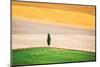 Tuscany Land-Marco Carmassi-Mounted Photographic Print