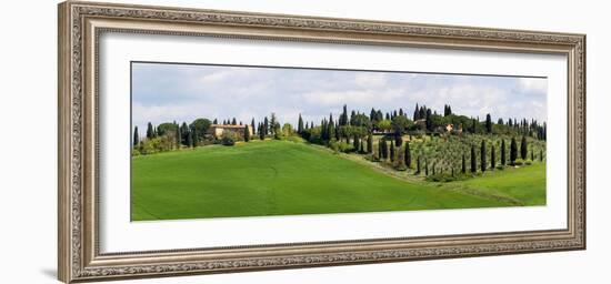 Tuscany landscape with farm, cypress and olive trees. Tuscany, Italy.-Tom Norring-Framed Photographic Print