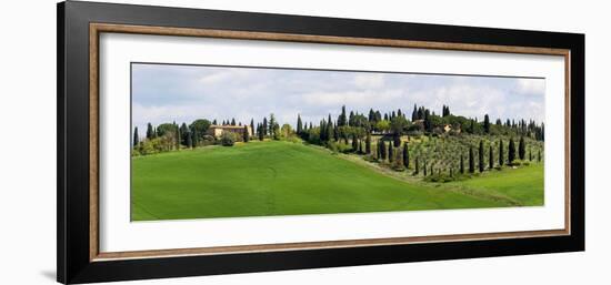 Tuscany landscape with farm, cypress and olive trees. Tuscany, Italy.-Tom Norring-Framed Photographic Print