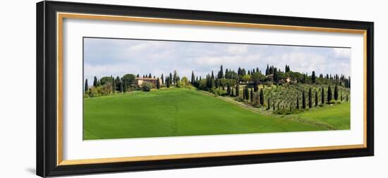Tuscany landscape with farm, cypress and olive trees. Tuscany, Italy.-Tom Norring-Framed Photographic Print